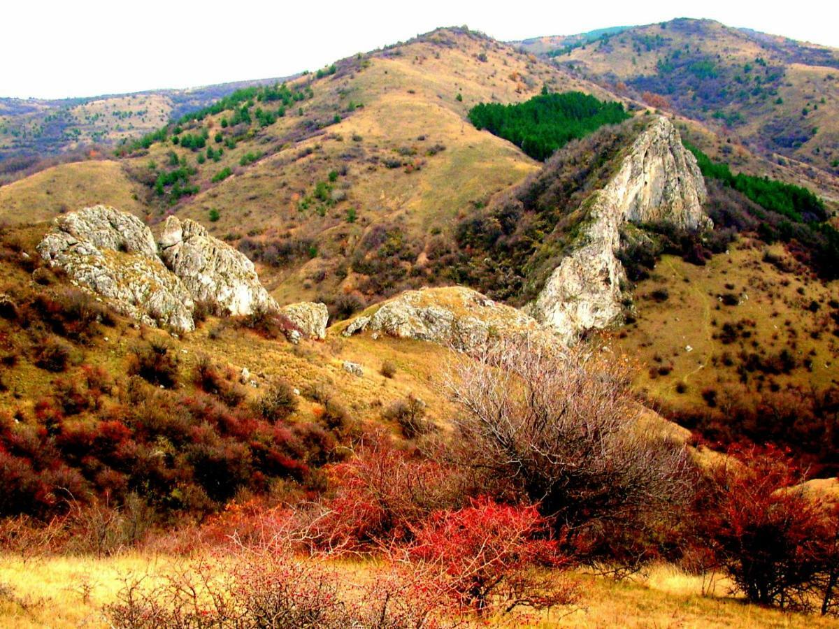 Hotel Aleksievata Kashta Gurgulyat 外观 照片